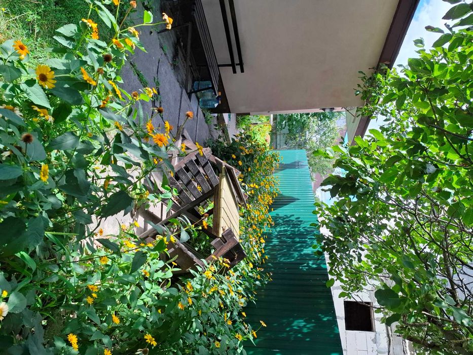 Оренда кімнати в будинку с.Петропавлівська Борщагівка(Київ)