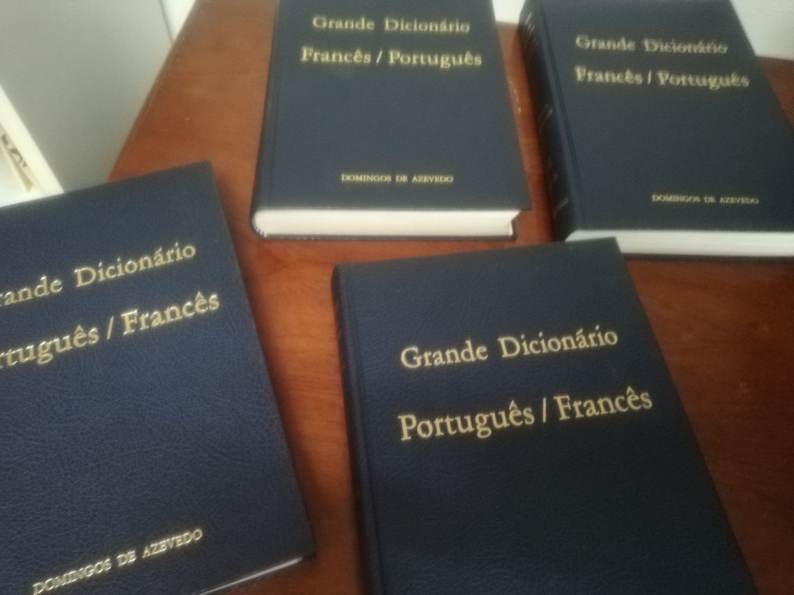 Grande dicionário português francês e francês português