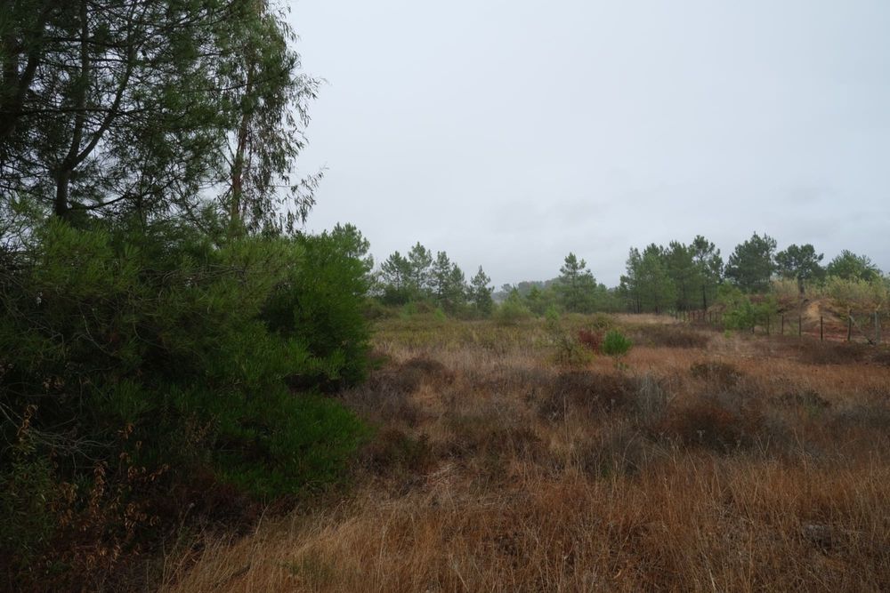 Terreno Rústico - Excelente oportunidade de negócio