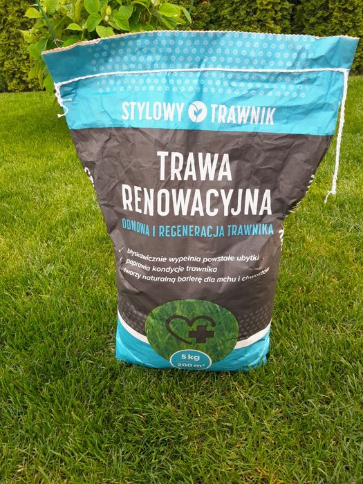 Trawa renowacyjna
