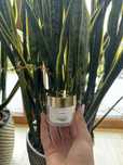 puder tytanowy lart clear