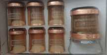 Conjunto copos whisky