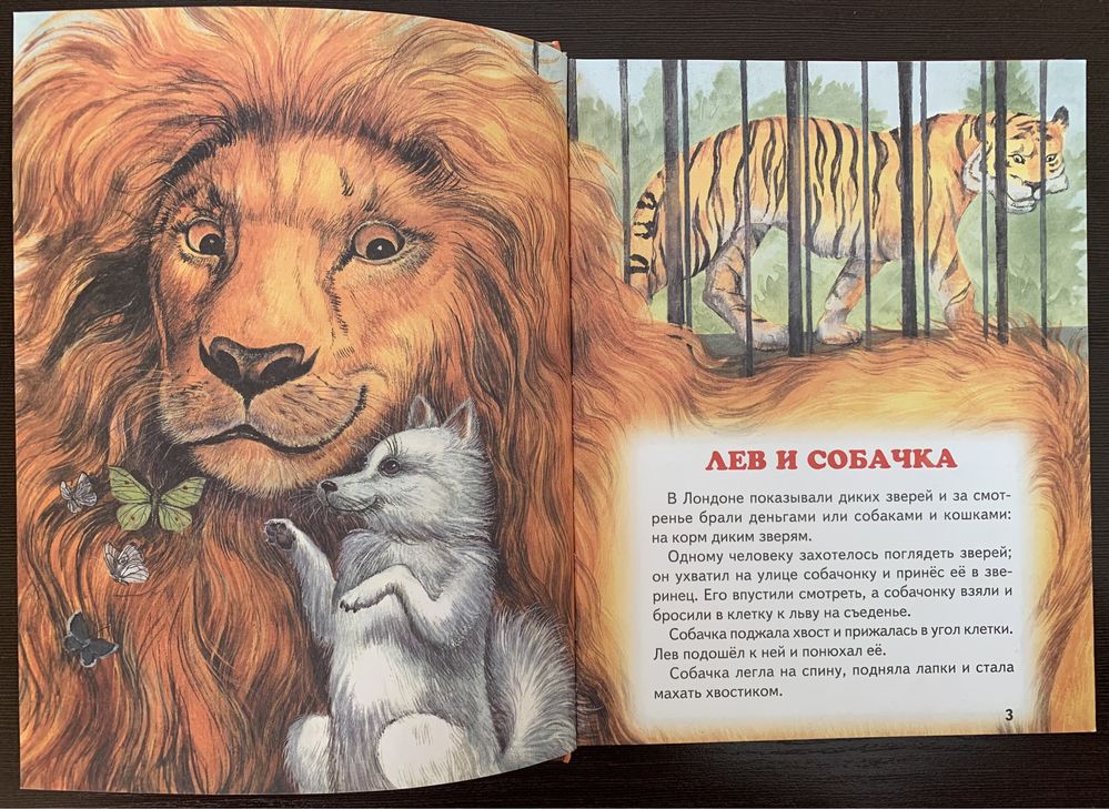 Большая собачья книга детская иллюстрации белоусов эксмо наталис 2009