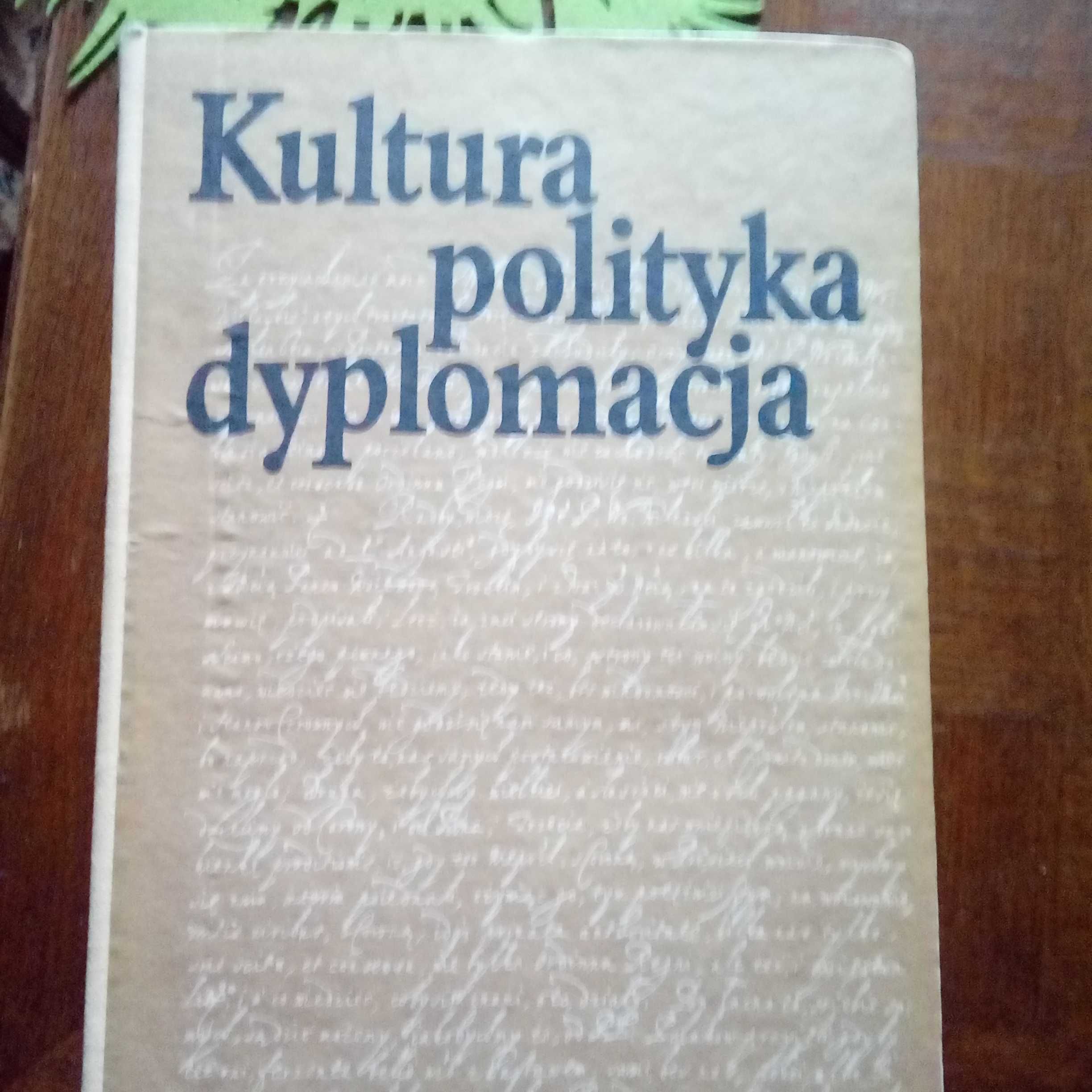 Kultura polityka dyplomacja