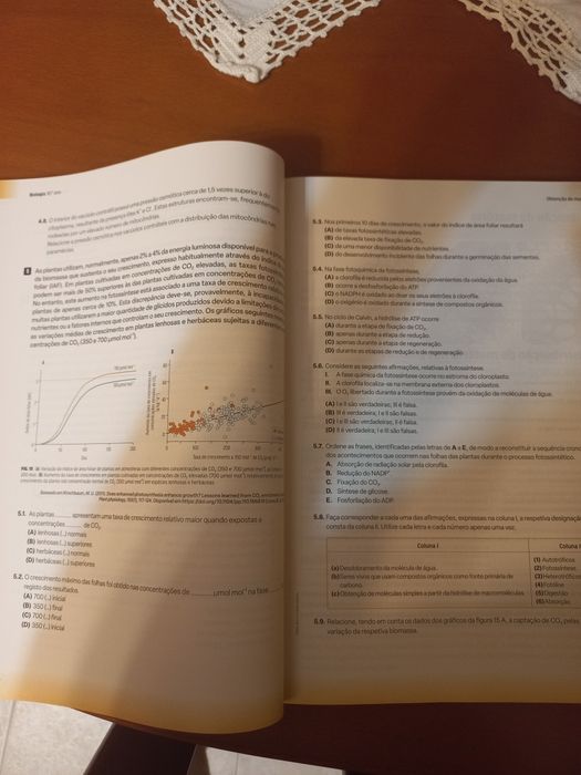 Preparação exame de biologia e geologia 2025
