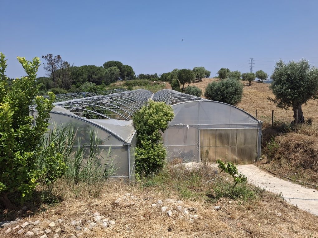 Vendo estrutura de estufas 3 túneis 8x70M