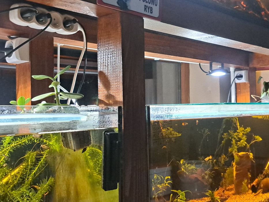 Reagał akwarystyczny, akwaria.