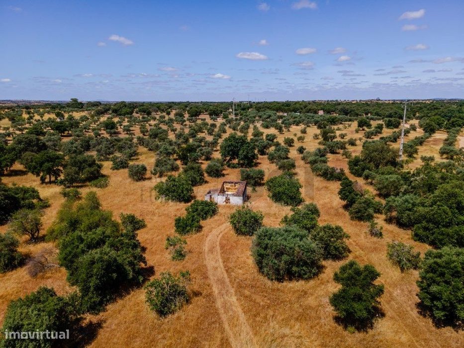 Quinta em Vila Nova de São Bento, com uma ruina para ser recuperada...