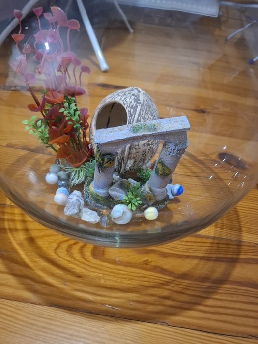 Ozdoby do akwarium roślinka kokos domek