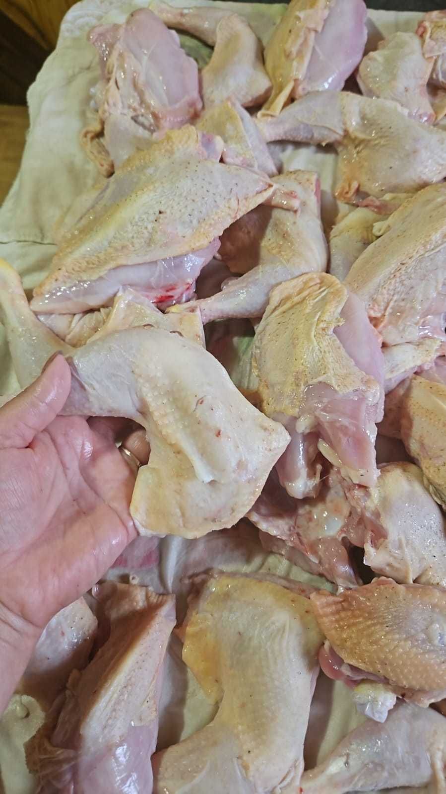 Продам тушку бройлерів