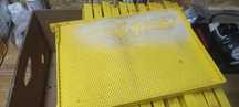 Ramki wielkopolskie plastikowe żółte – 12 sztuk