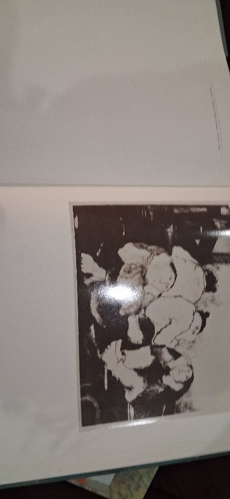 Livro pintura Manuela Pinheiro