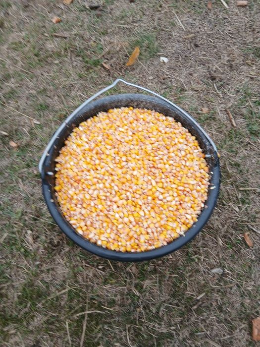 Продам кукурудзу