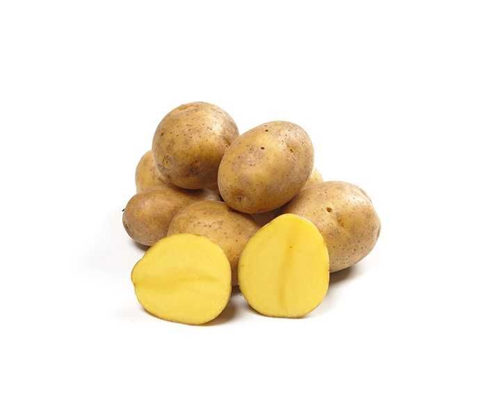 ziemniaki, kartofle, bulwy