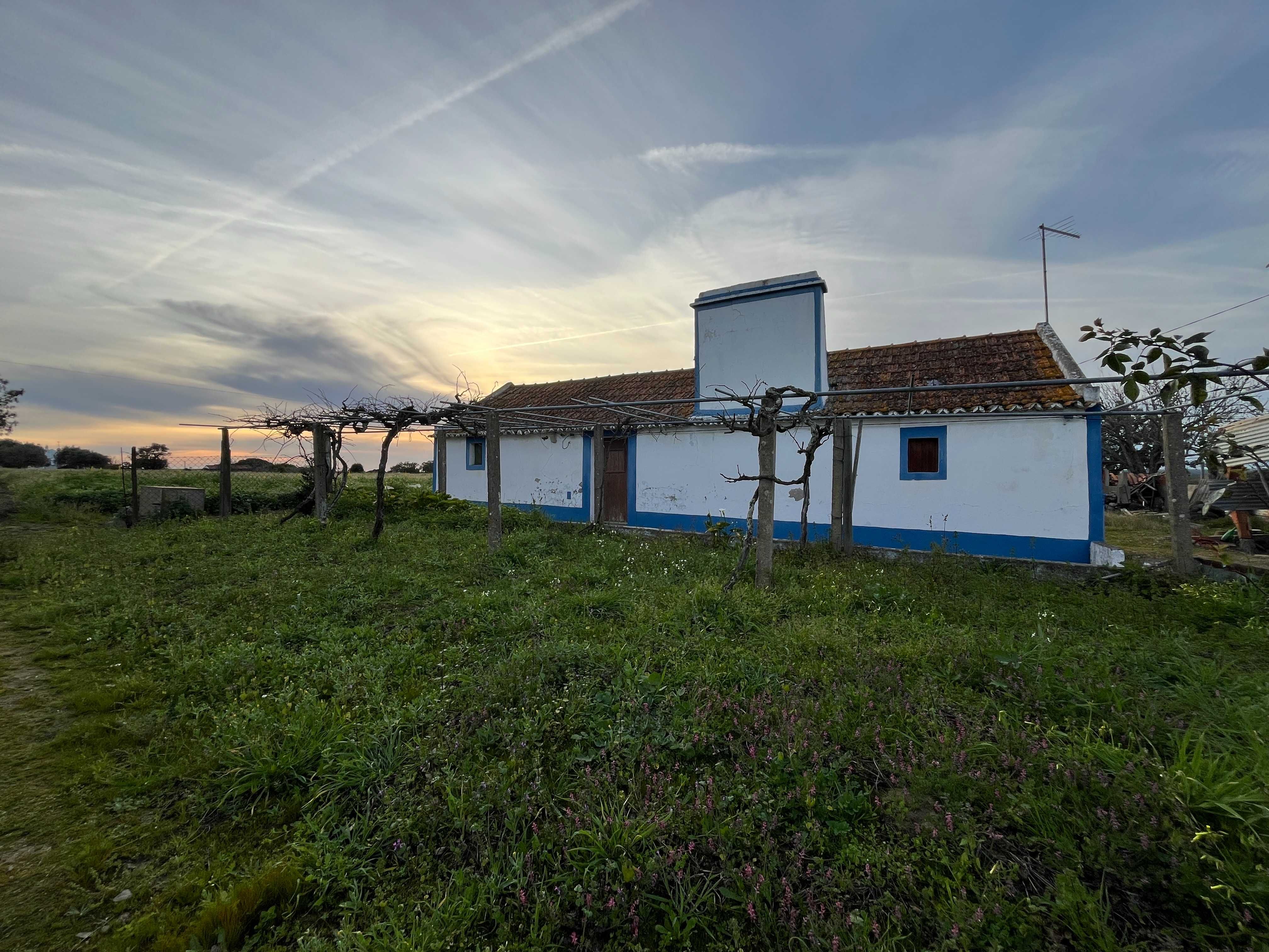 Terreno para venda 8713m2 em Pinheirinhos, Melides