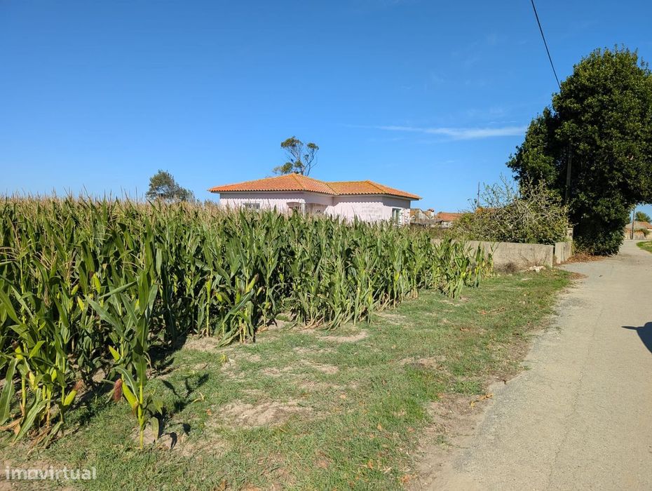 Terreno na Murtosa
