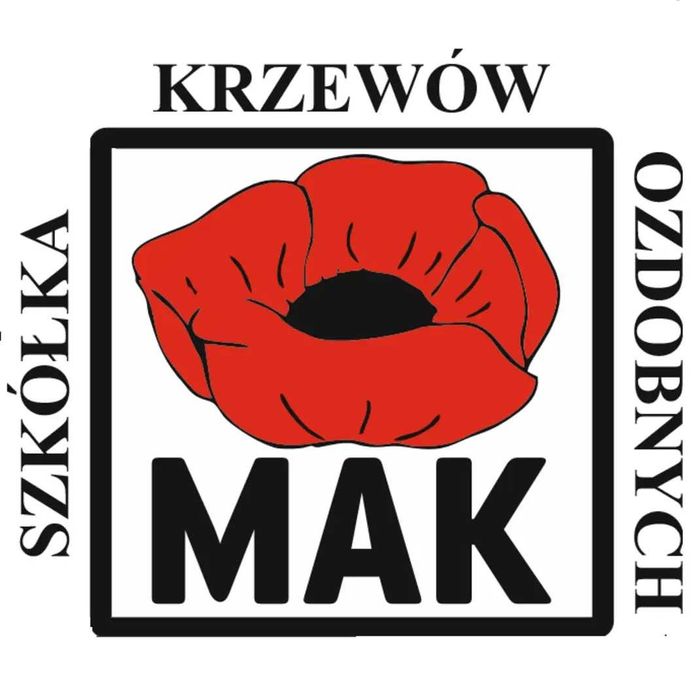 Drzewka jabłoni różne odmiany