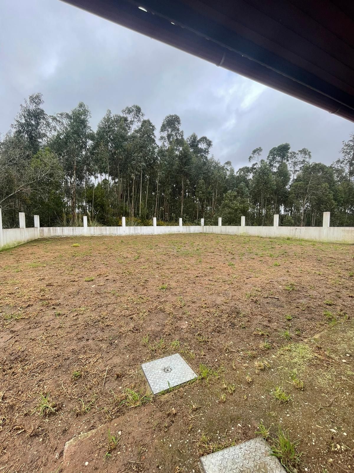 LIMPEZA de TERRENOS e Jardinagem