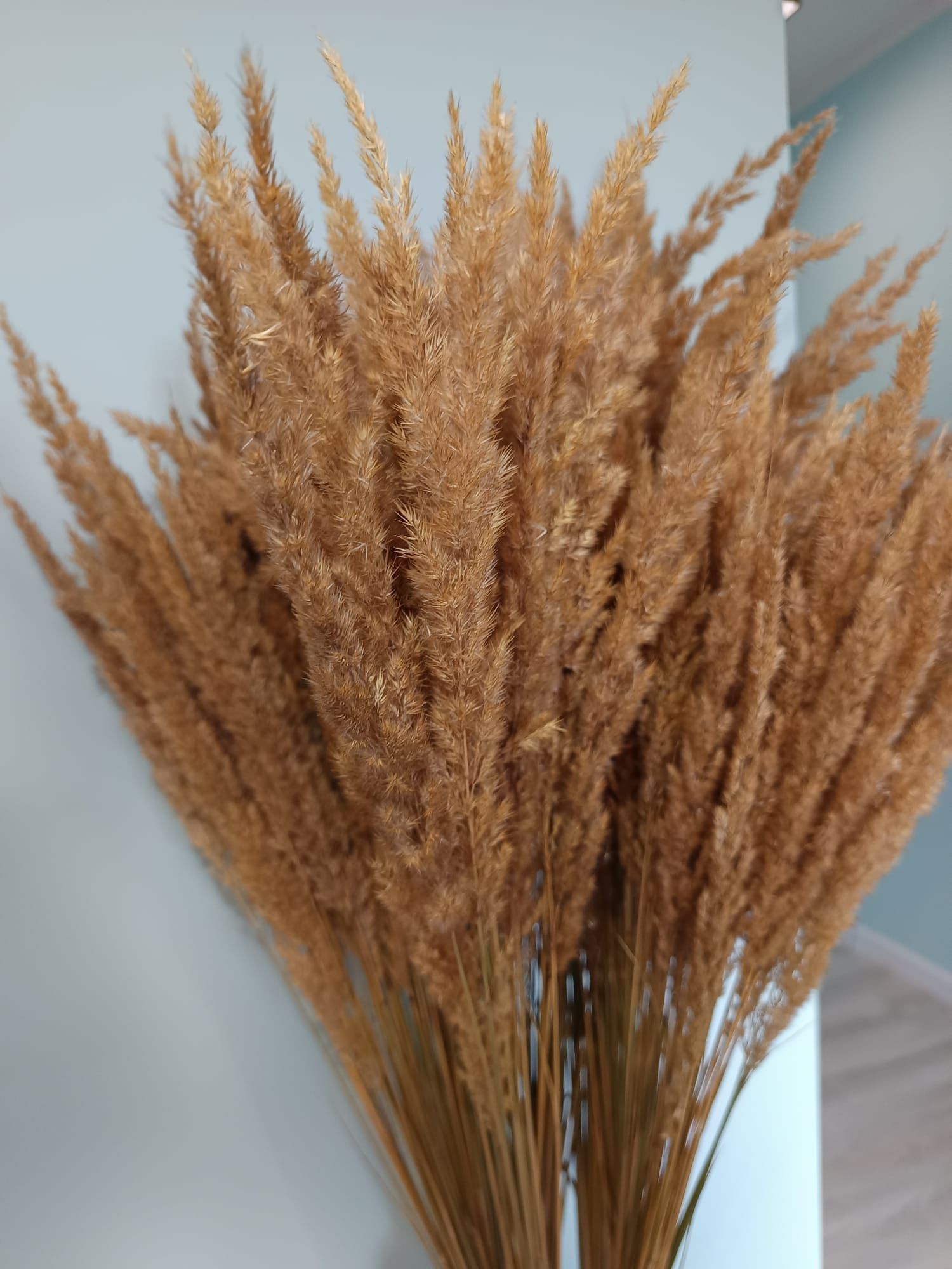 Trawa ozdobna naturalna Boho ozdoba 30 sztuk 65 cm