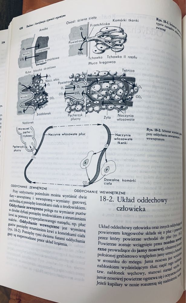 Książka Biologia C. Villee stan idealny