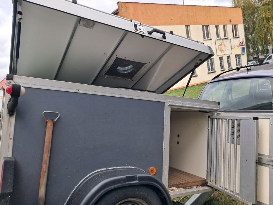 Przyczepka transportu 3 psów