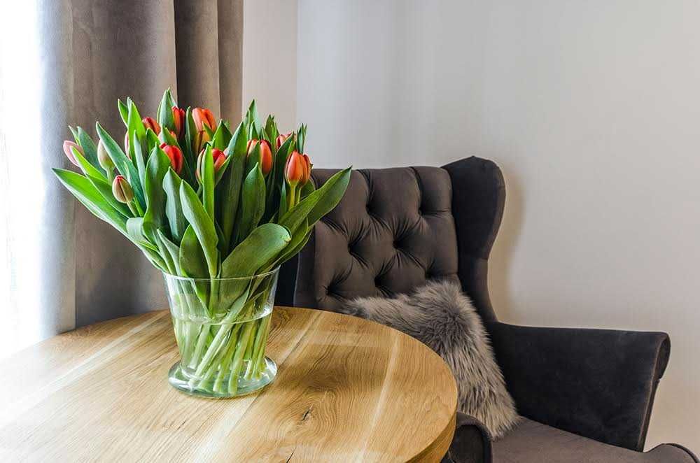 Sylwester w Karpaczu z widokiem na góry wypoczynek parking śniadania!