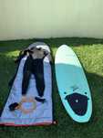 Prancha de Surf Olaian 7’0”  + Fato + Leash + Saco