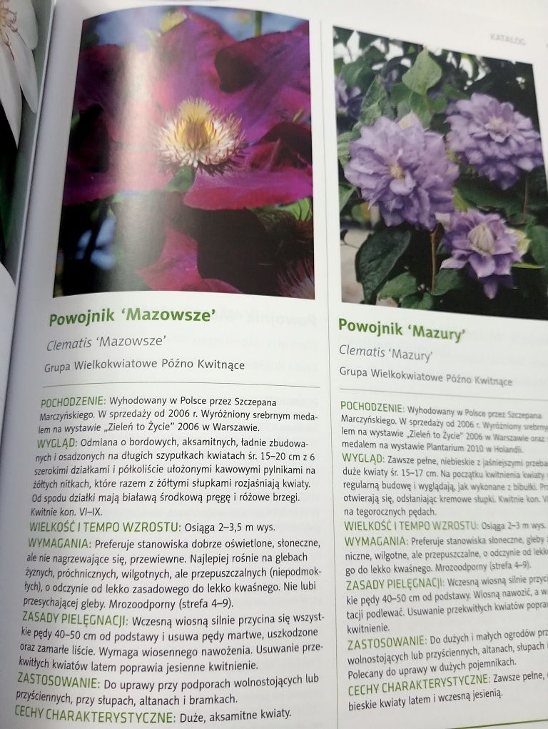 Pnącza Szczepan Marczyński