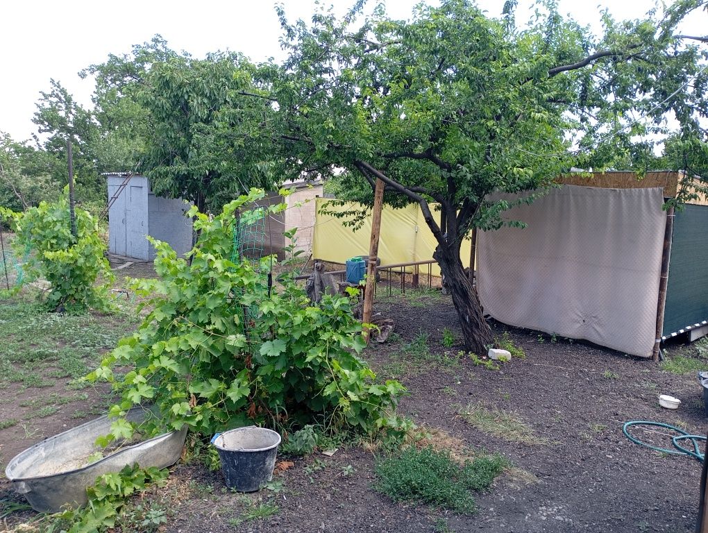 Продам дачу в Доброполье (дачный поселок ветерок)