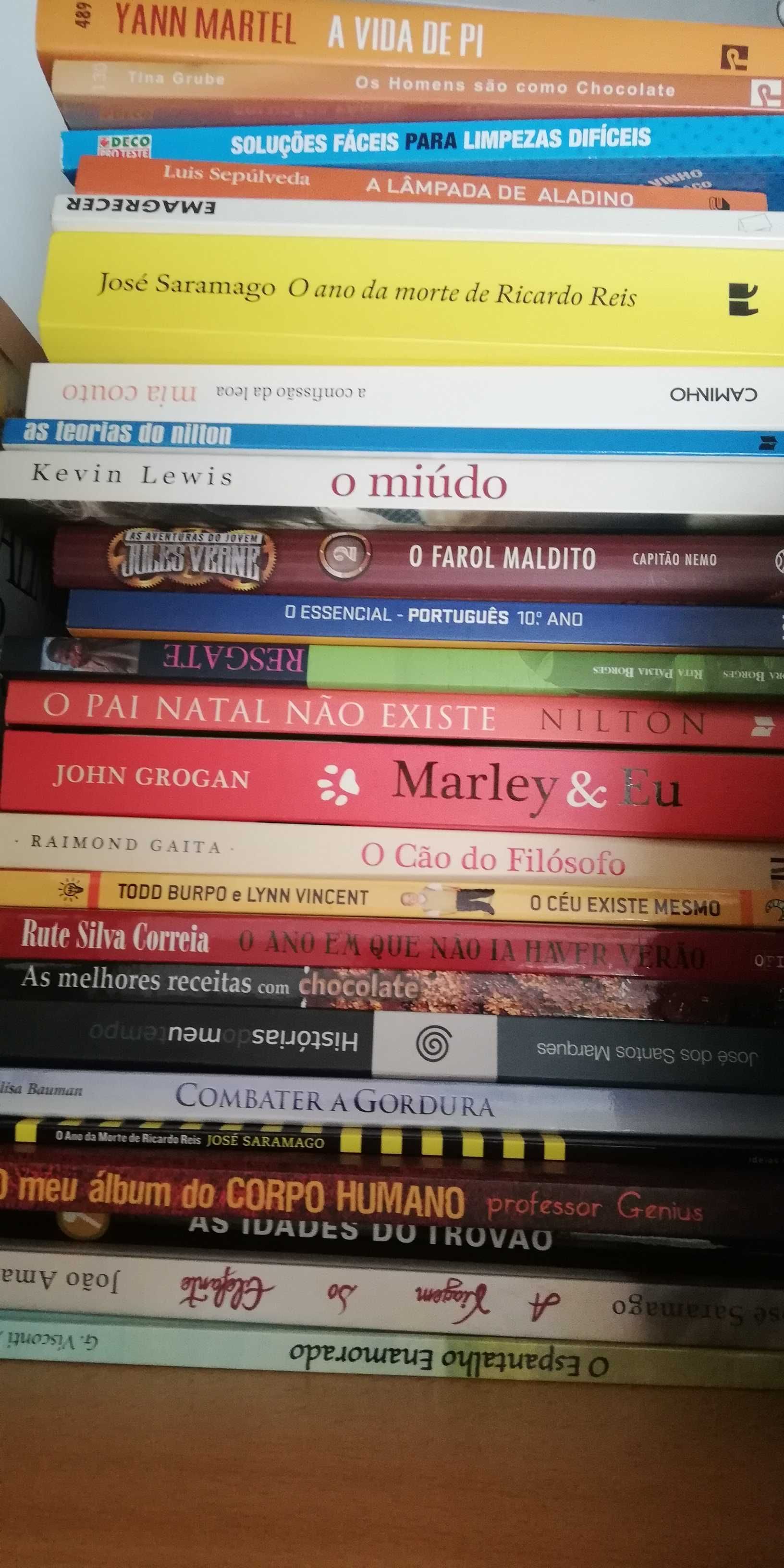 Livros vários juvenis e outros