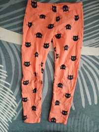 Legginsy 122 koty