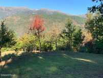 Fabulosa Quinta à Venda zona do Gerês – Um Oásis Natural com 28.000m²