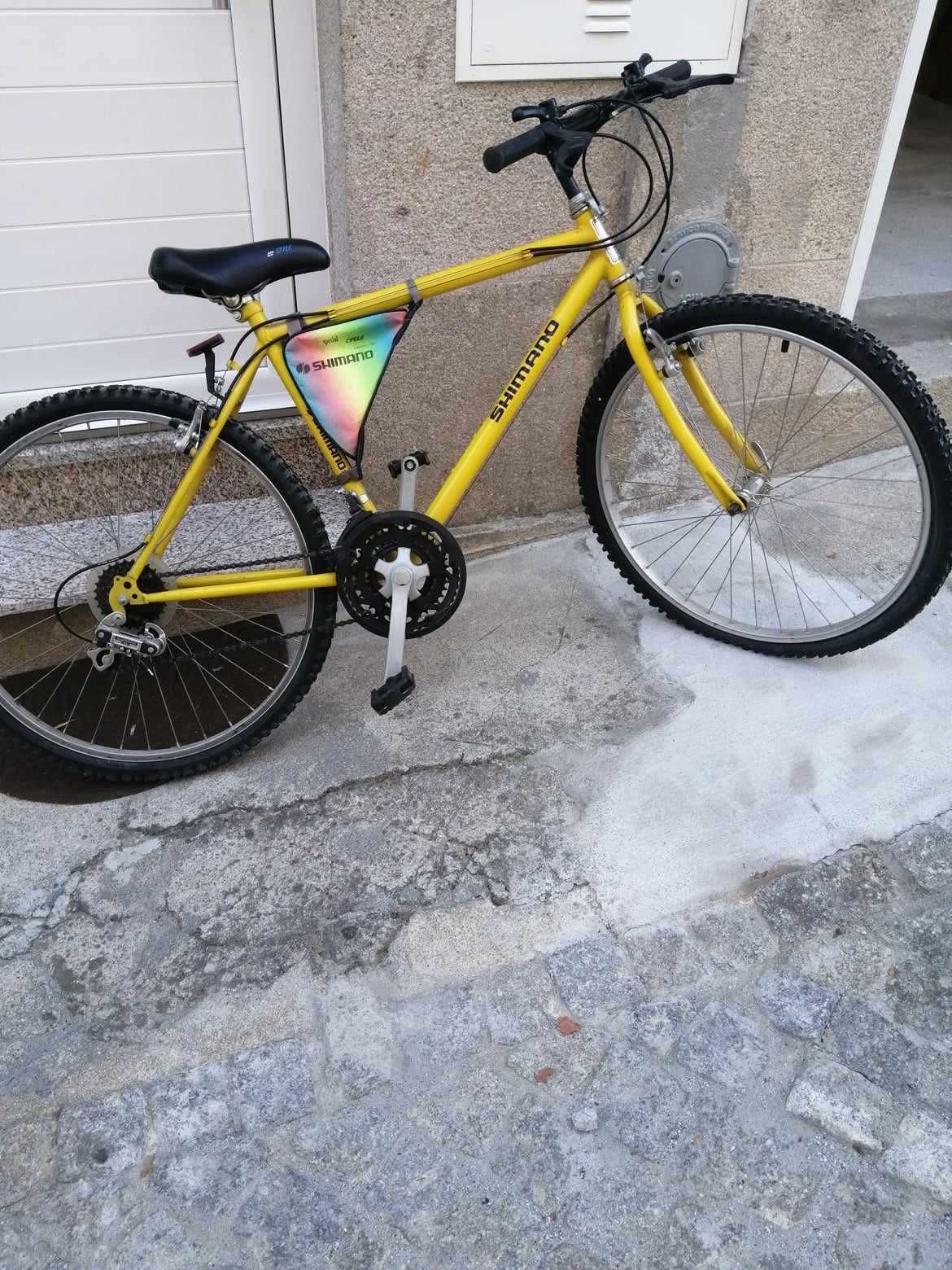 Bicicleta roda 25