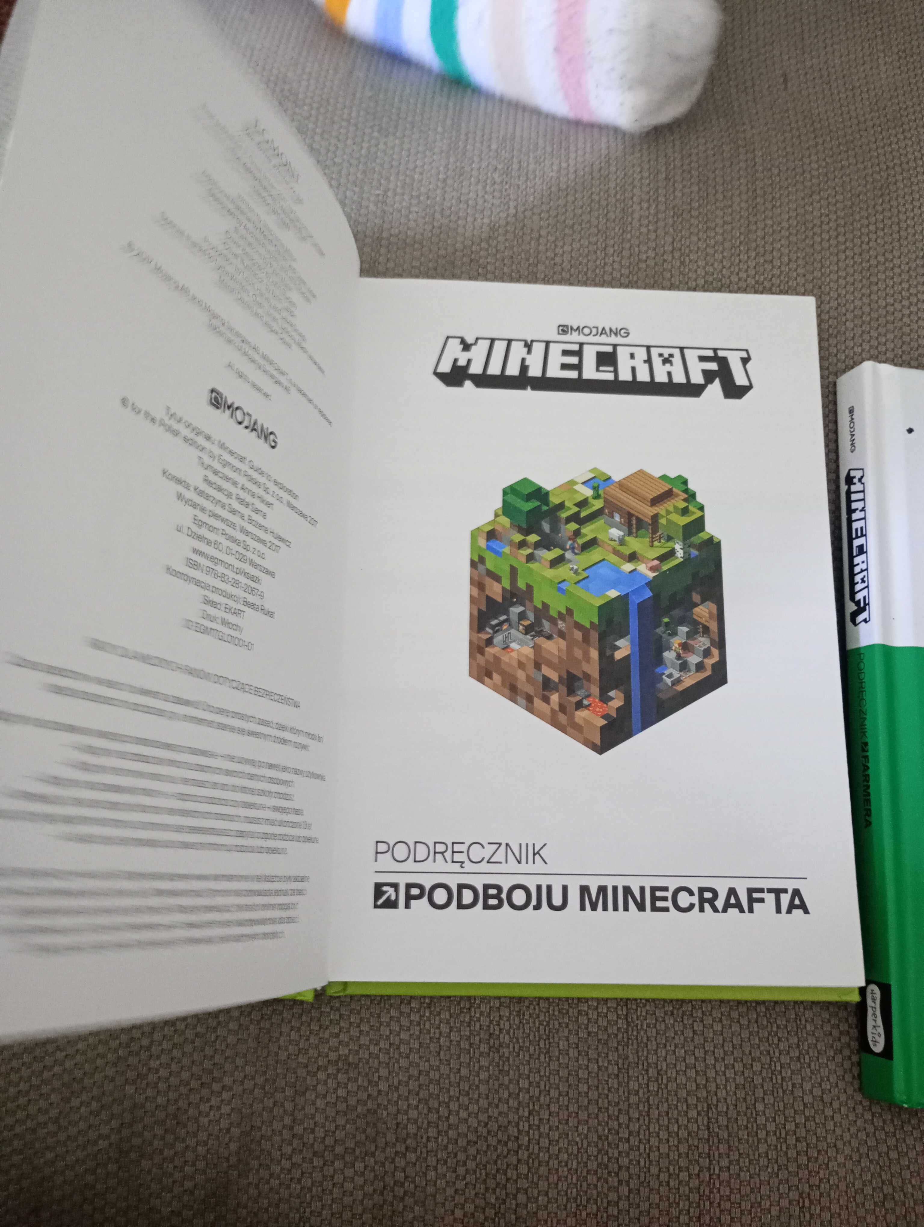 Minecraft książki