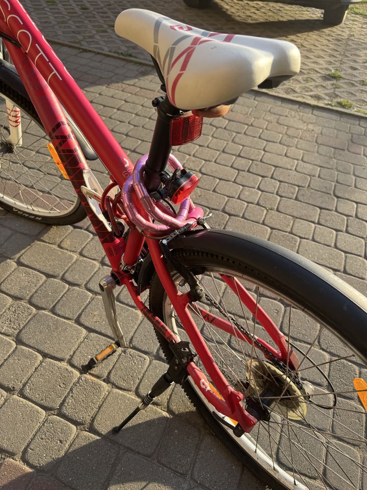 Scoot contessa 650