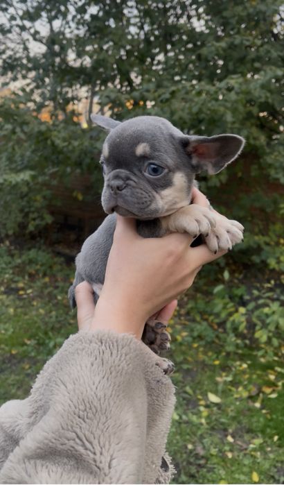 Голубий малюсінький хлопчик