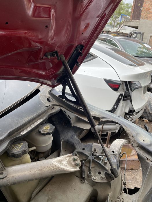 Амортизатори переднього капота,заднього багажника Tesla model S 12-20