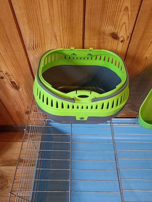 Zestaw dla świnek morskiej