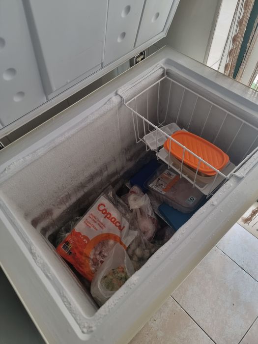 Arca Congeladora Electronia 146 lts