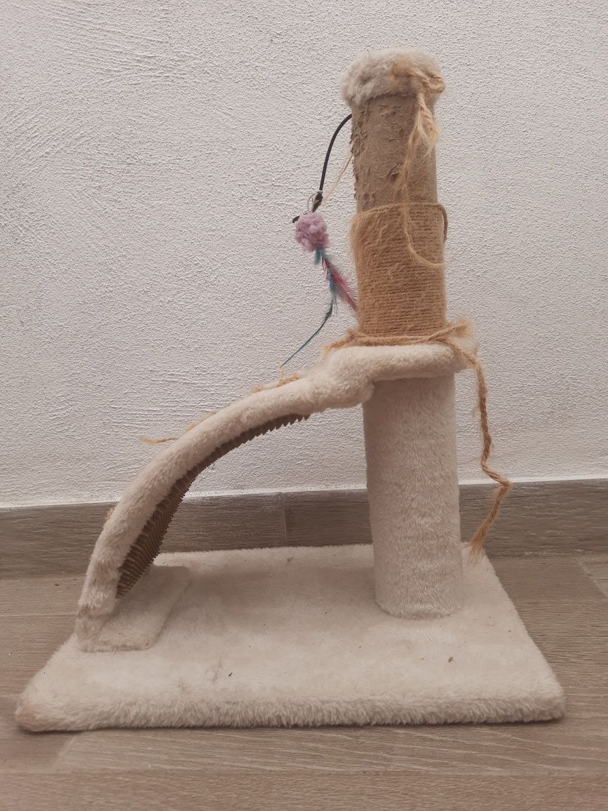 Arranhadores de gato
