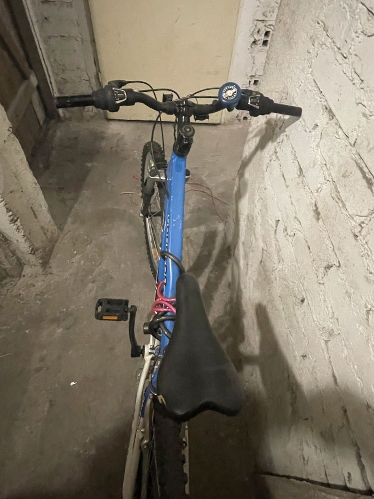 Rower gorski 24 cale speedtro
