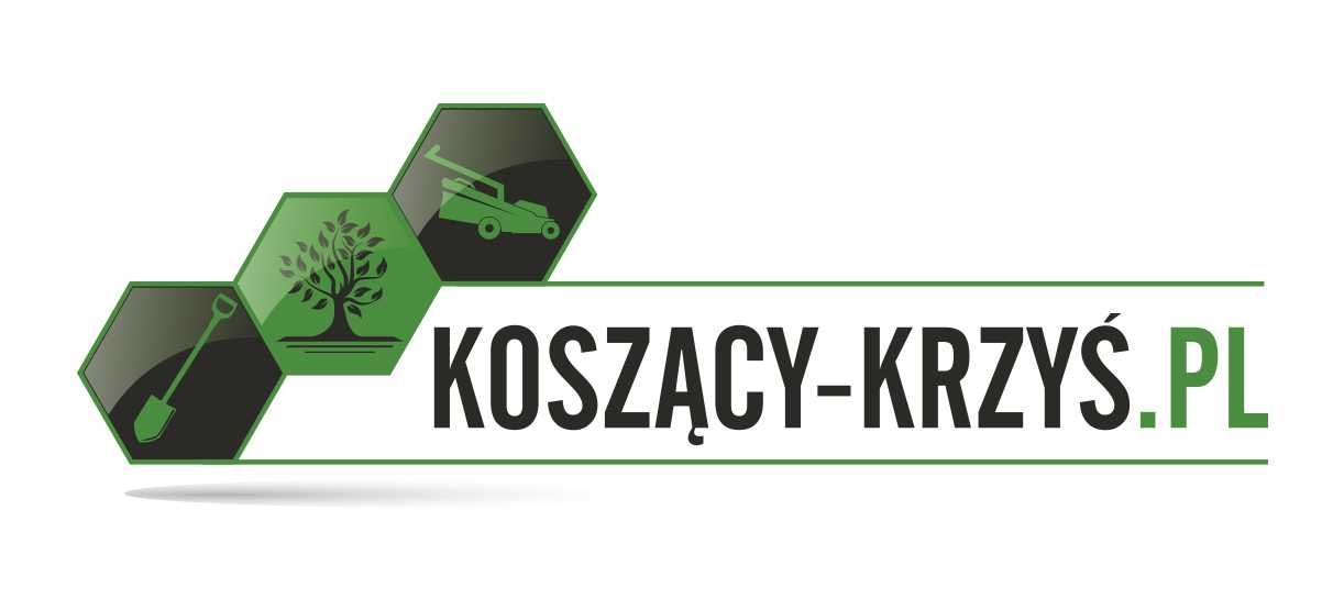 Wertykulacja trawnika, regeneracja, aeracja, nawożenie