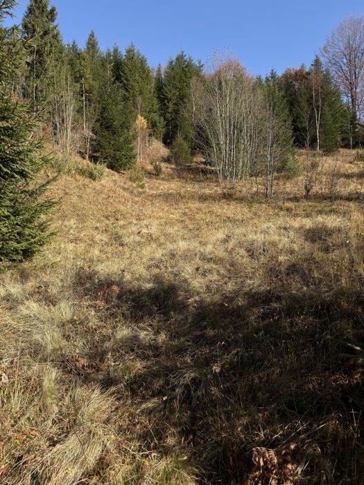 Земельна ділянка в Дземброні
