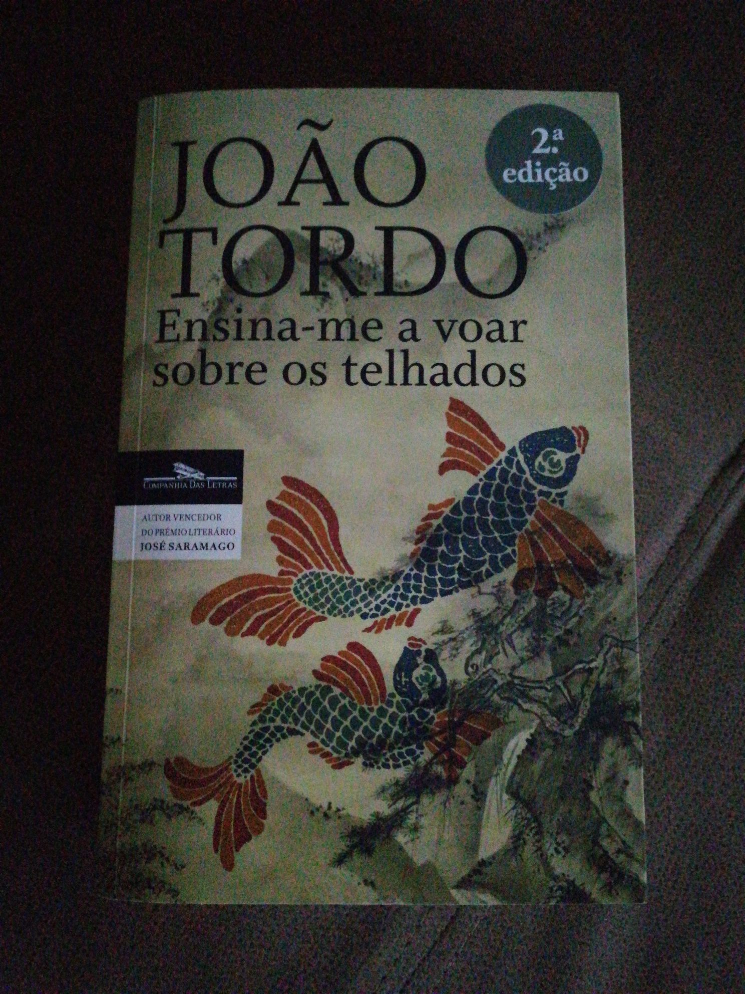 Livro "Ensina-me a Voar Sobre os Telhados" de João Tordo