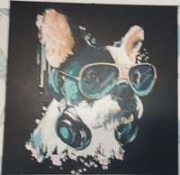 Собака французский бульдог в очках с наушниками