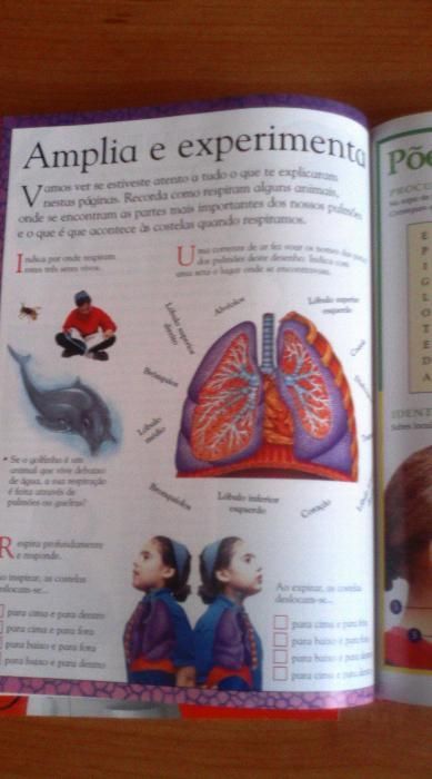 Livro ilustrado - o corpo humano