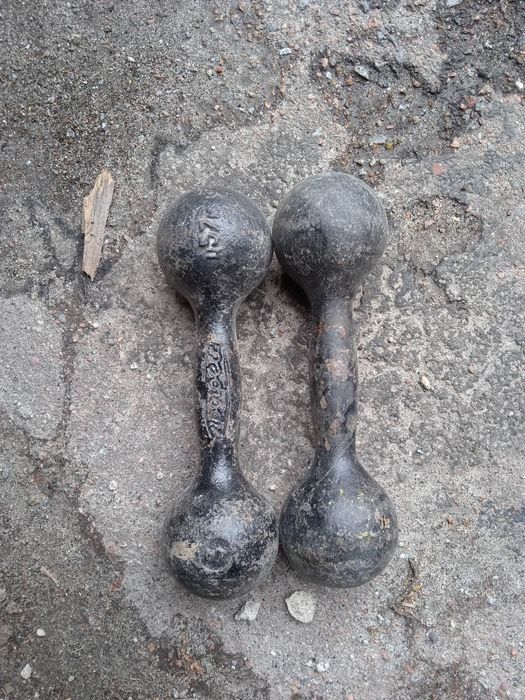 Чугунні литі гантелі 2кг/3кг