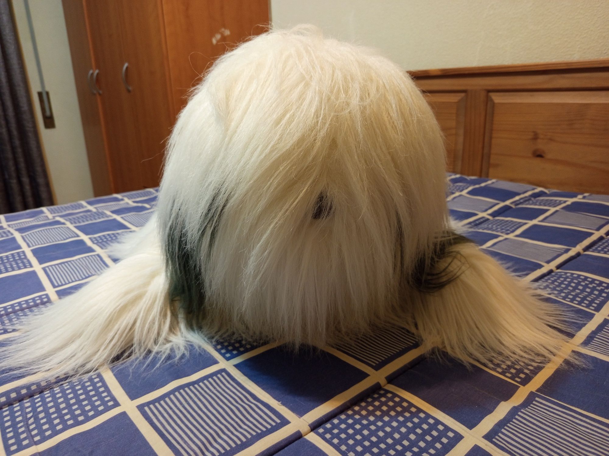 Peluche cão grande