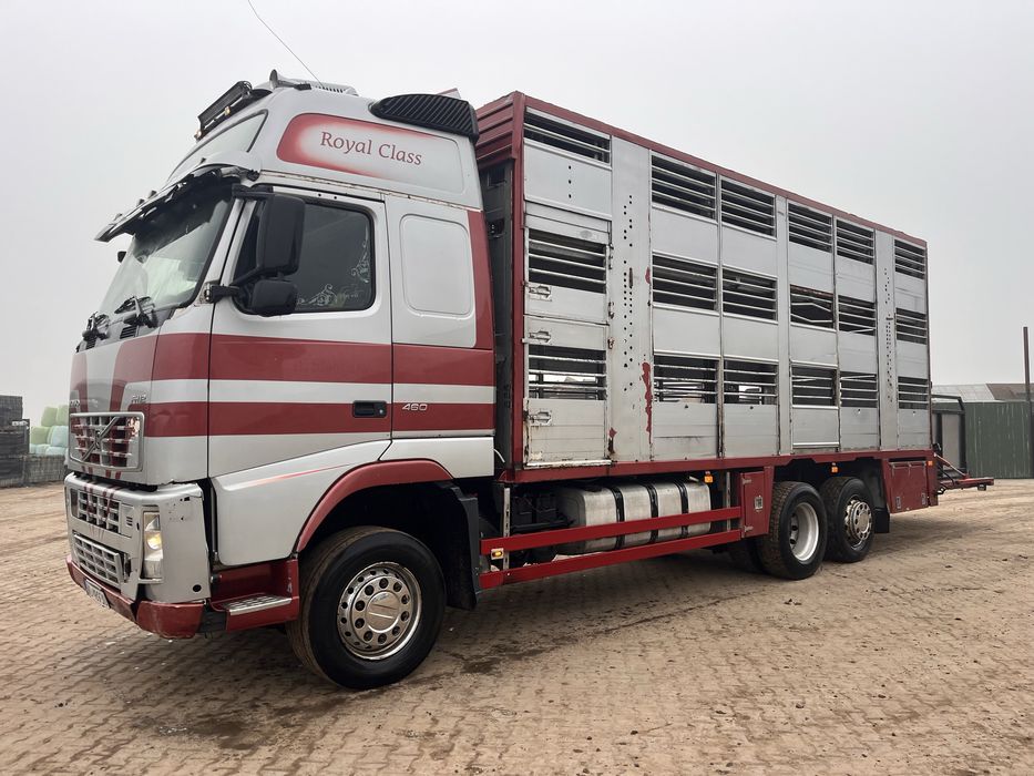 Volvo FH460 ( do bydła żywca zwierząt )