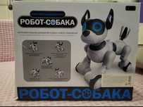 Робот пес Собака робот